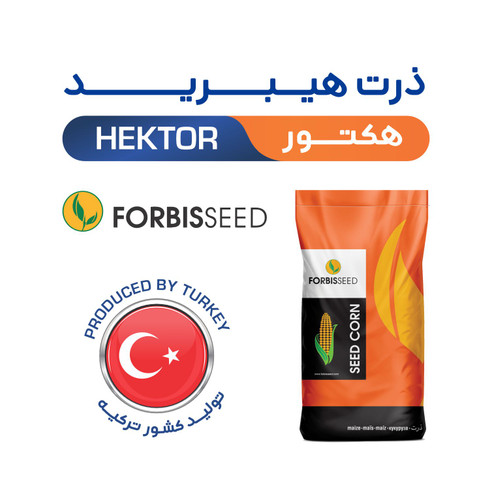 بذر ذرت خارجی دومنظوره دانه هکتور هیبرید F1 ترکیه 2023