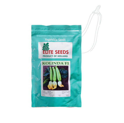 بذر کدو کولیندا الیت