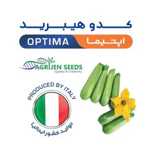 بذر کدو هیبرید اپتیما اگریژن سید پاکت 1000دانه