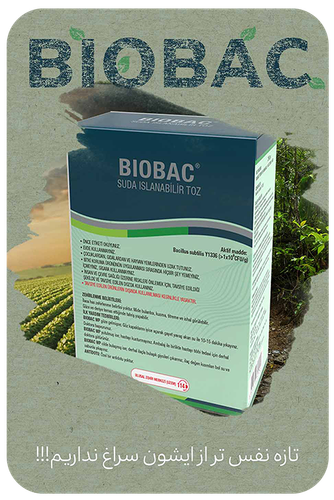 کود تقویتی باکتری باسیلوس سوبتیلیس بایوباک BIOBAC پودر BIONTECH تایوان 250گرم جعبه
