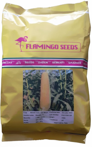 بذر ذرت شیرین رویالتی فلامینگو سیدز flamingo seeds استرالیا پاکت 5000 دانه