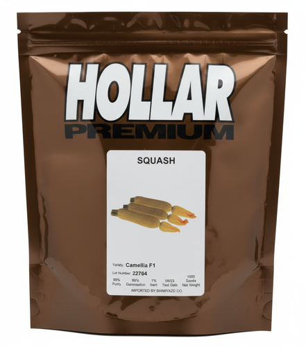 بذر کدو خورشتی کاملیا شرکت هولار آمریکا پاکت 1000 عددی