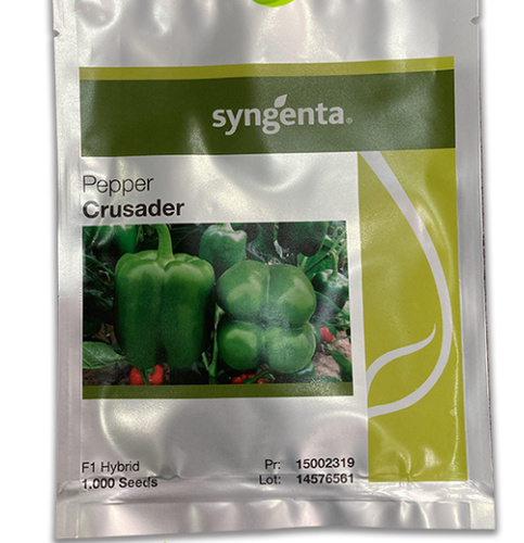 بذر فلفل دلمه کروسادر سینجنتا کشور سوییس پاکت 1000 دانه