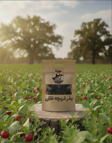 بذر سبزی خوردن تربچه نقلی بسته بندی اختصاصی جوبانا 25 گرمی پاکت