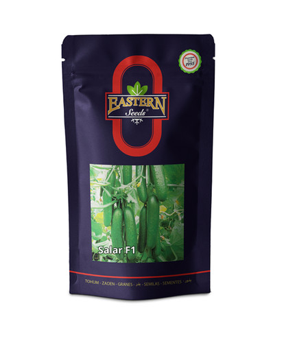 بذر خیار هیبرید آدرین سالار ترکیه 1000عددی پاکت