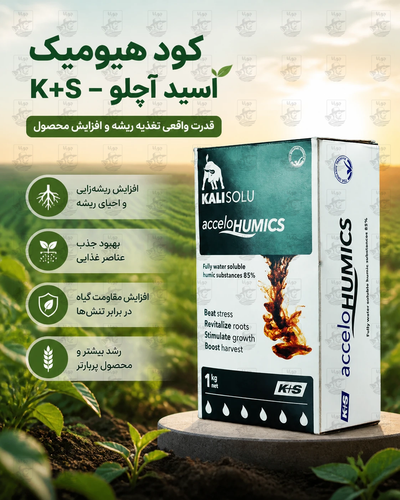 کود تقویتی هیومیک اسید